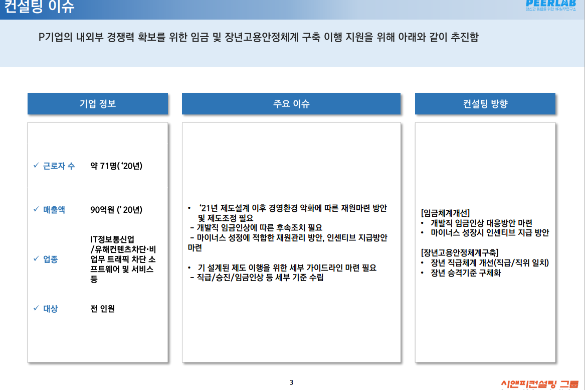 [일터혁신컨설팅]소프트웨어 및 서비스 IT기업 임금체계개선,장년고용안정 체계 구축 이행컨설팅 사례